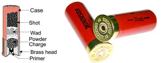 hotshotshooting .com